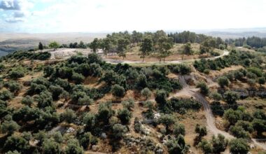 Unusual Bedfellows: The Israelis and Palestinians Working Together to Dig Up the Nakba