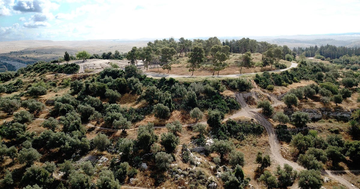 Unusual Bedfellows: The Israelis and Palestinians Working Together to Dig Up the Nakba