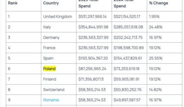 Polska wśród liderów wydatków na OnlyFans, nasz kraj znalazł się na 6 miejscu wśród europejskich krajów.