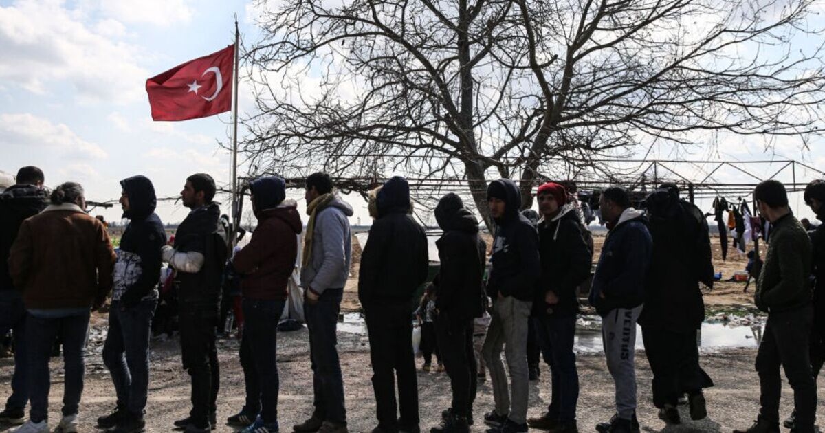 Migrant panic as over 150,000 undocumented refugees detained in major clampdown | World | News