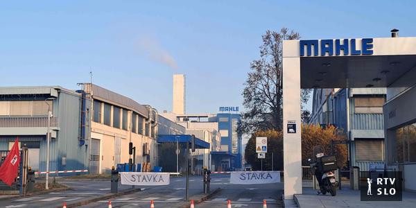 Stavka v šempetrskem Mahleju, zahteve za zamrznitev selitve proizvodnje alternatorjev v BiH