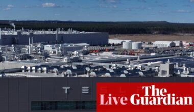 Tesla sales fall across Europe again as BYD surges; Ryanair fined €235m by Italy’s competition authority – business live | Business