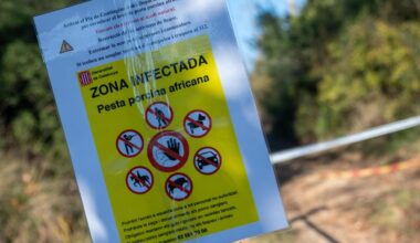 última hora del brote en Cataluña