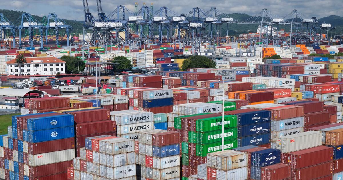 Despite US trade war, OECD expects global economy will grow 3.2% this year | Business