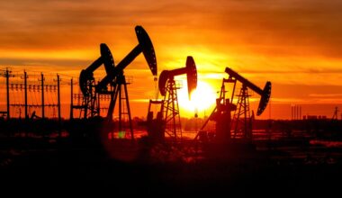 Oil Supply Will Soar in 2206, Top Commodities Trading Firm Predicts