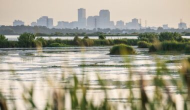 Louisiana details big shift in coastal restoration strategy | Environment