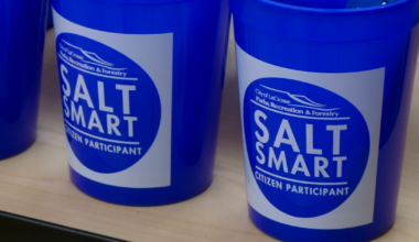 La Crosse launches 'Salt Smart' campaign to protect waterways and wildlife | Environment