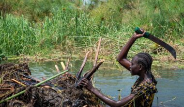 South Sudanese community fights to save land from relentless flooding worsened by climate change | National News