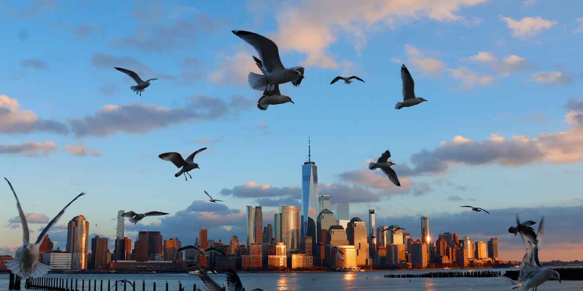 US Economy, Stock Market Are 2 Problems Keeping Steve Hanke up at Night