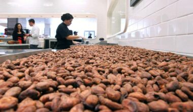 Editorial by the Las Vegas Review-Journal | Climate change Grinches look to ruin the holidays | Editorials