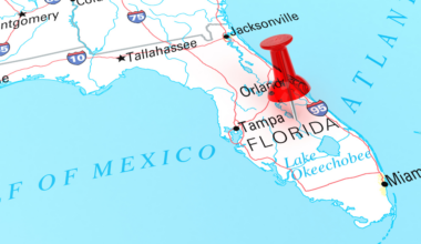 The Top 10 political developments in Florida in 2025 | Florida