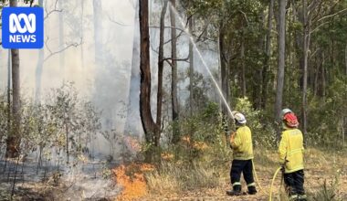 Bushfire warnings issued for much of NSW as heatwave hits state