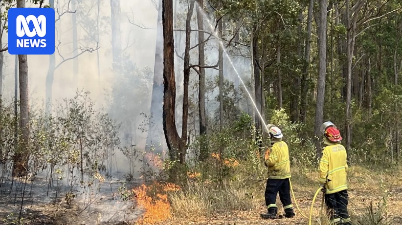 Bushfire warnings issued for much of NSW as heatwave hits state