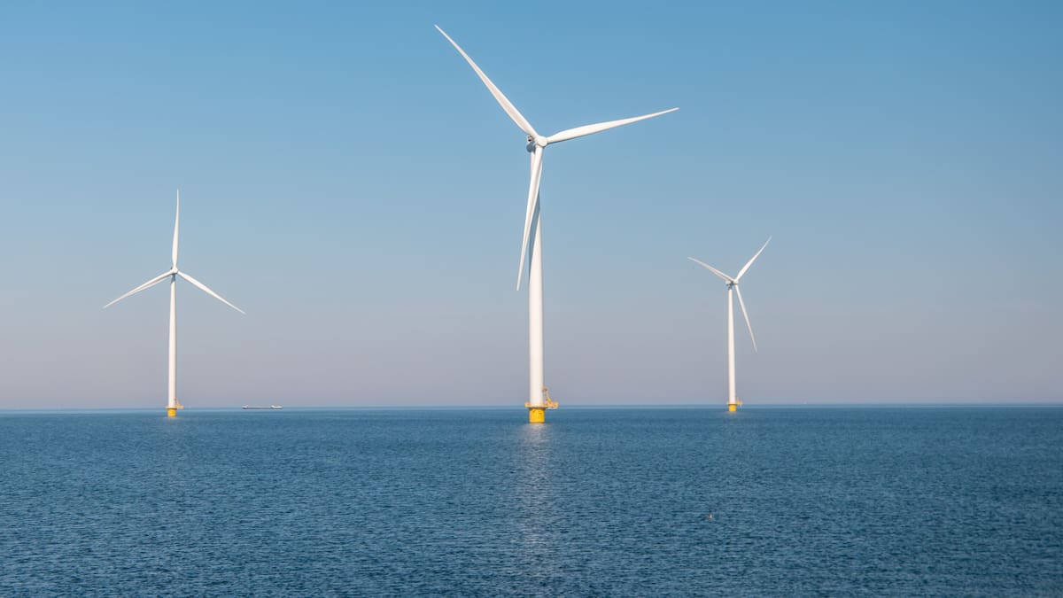 Clean energy race: Is New Zealand falling behind on climate investment? – Will Goodwin