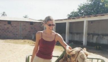 Trump, the Bus Driver Heading straight toward a cliff