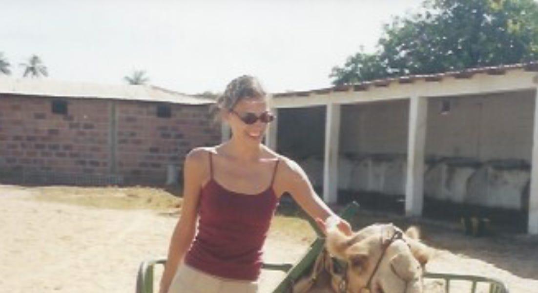 Trump, the Bus Driver Heading straight toward a cliff