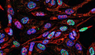 Close-up view of doctor's hand in a white glove holding syringe