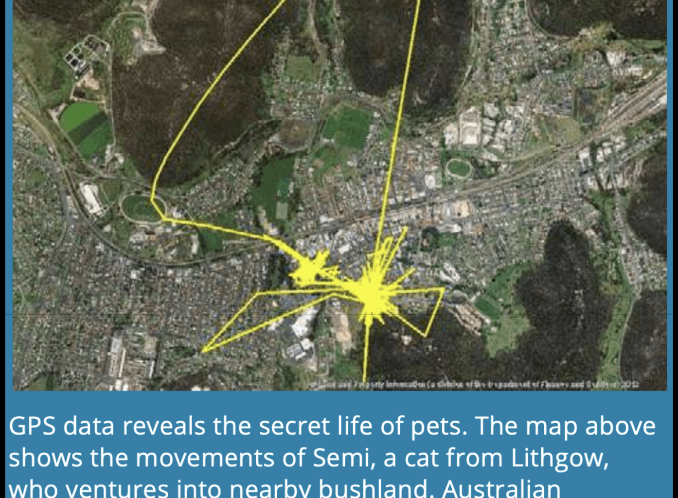 Pet cats kill ~400 million animals per year in Australia, even though AU's pet cat population is just ~5 million. Despite the threat to endangered wildlife, some states ban restrictions on cats' freedom of movement. However, polls find strong support for stricter cat containment—66%, vs 8% opposed