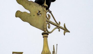 Market Cross Bullet Holes