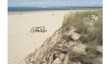 When the ancient Swiss wanted to be beside the seaside