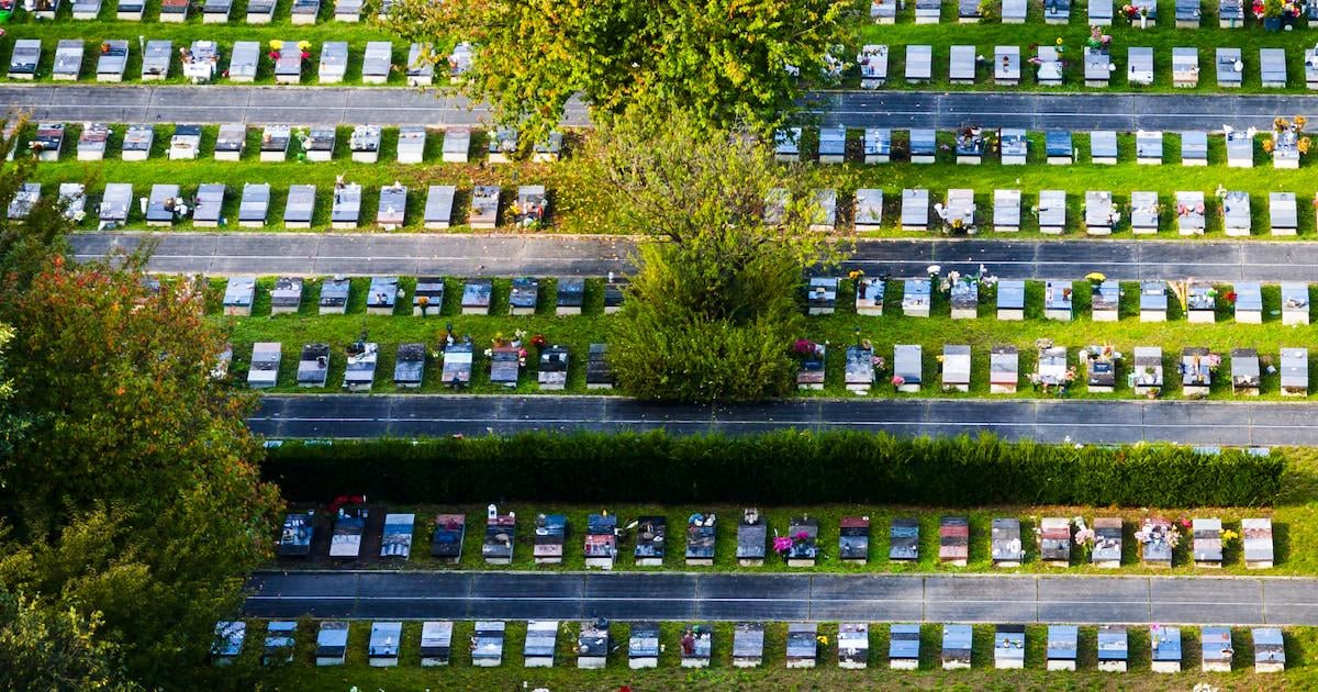 Begraafplaats experimenteerde in het diepste geheim met overledenen: ‘Had nooit mogen gebeuren’