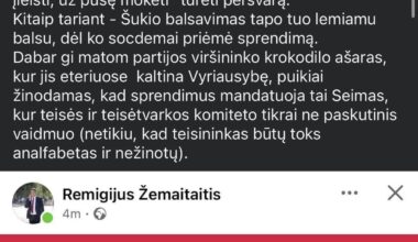 Širinskienė strikes back