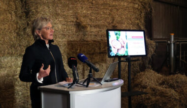 Luxembourg bets on controlled organic growth