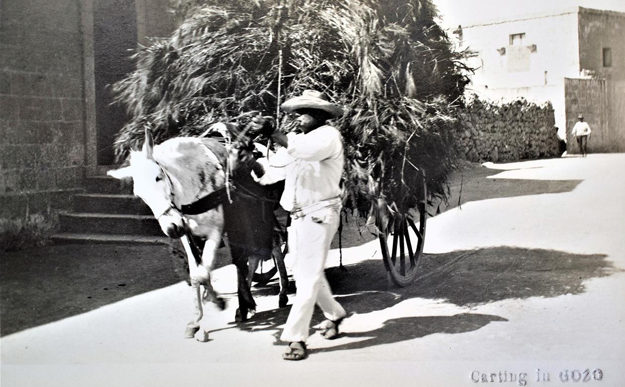 Gozo cart laden with the produce of fields.