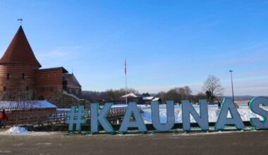 Estonia: Lithuania: Russia-helper sentenced for vandalism of monument