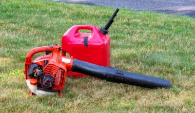 200+ US cities, counties and local jurisdictions – and several states – have either banned the use of gas-powered leaf blowers, passed restrictions on their use or provided incentives to consumers, landscapers and other companies to purchase electric versions