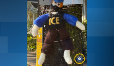 ICE voodoo doll discovered in New Orleans as immigration crackdown continues