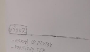 Hladame normalnu zensku pre mileho chlapa- mojho kamosa(urcite nie pre mna) :D