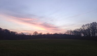 Ein paar Schnappschüsse der letzten Tage