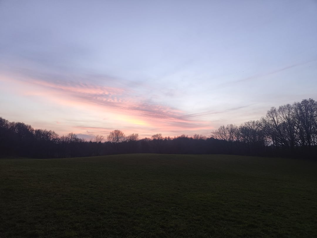 Ein paar Schnappschüsse der letzten Tage