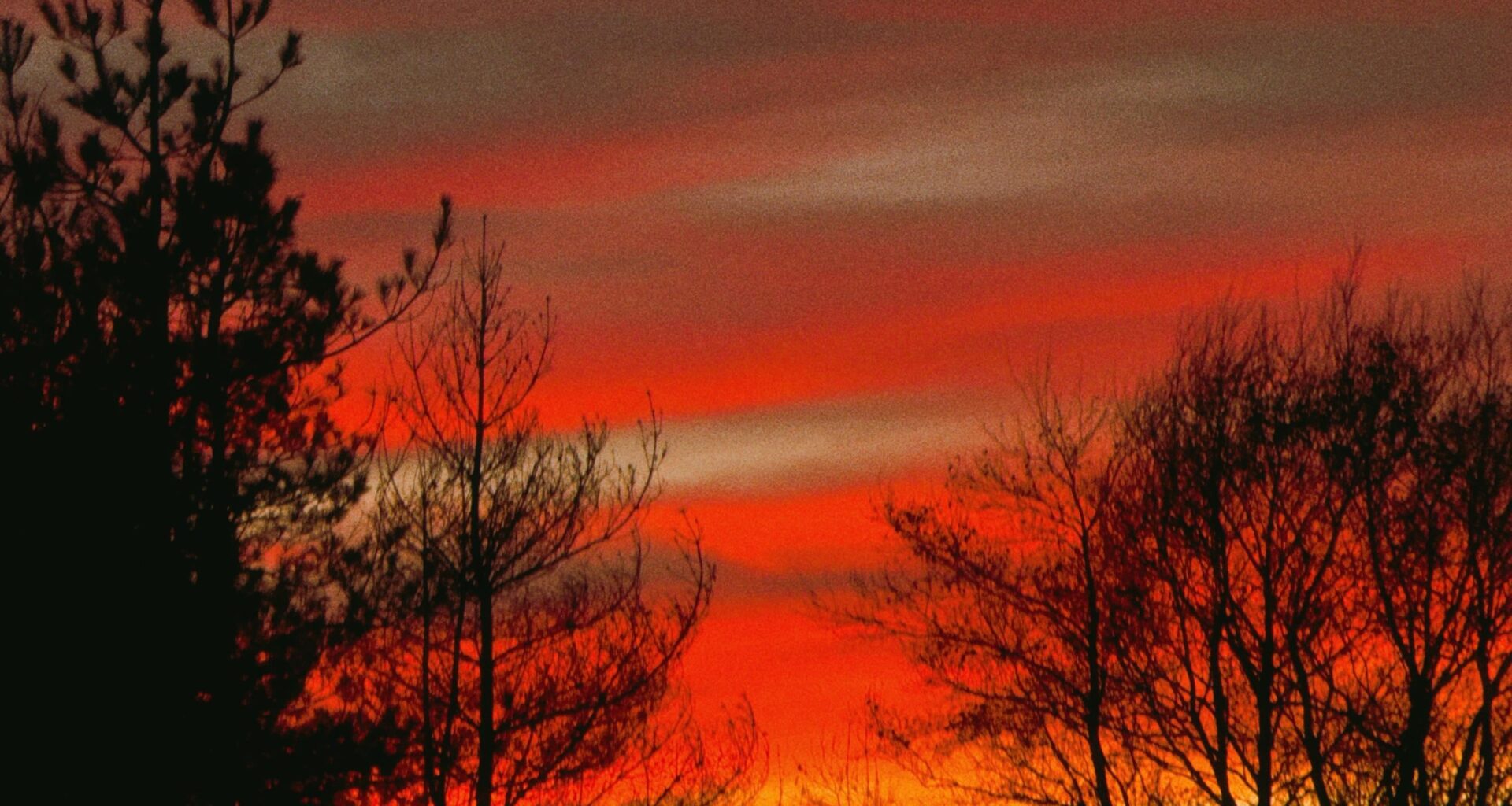 Sunset from back garden