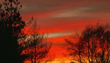 Sunset from back garden