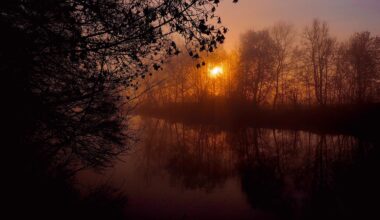 Sonnenaufgang - Nebel - Farb Stimmung [OC]