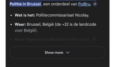 Google AI hallucinates scam number as being the police