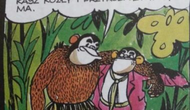 Szukam panelu z Tytusa Romka i ATomka w dobrej jakości