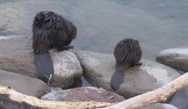 Patrzcie co spotkałem😍