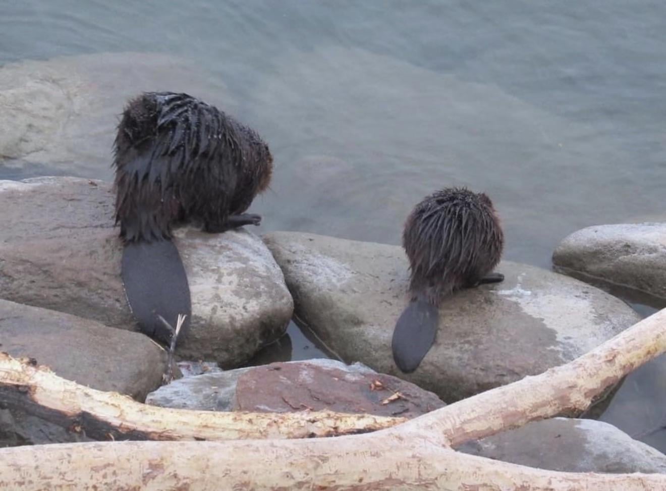 Patrzcie co spotkałem😍