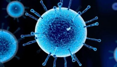 Biggest 'superflu' wave ever hitting London, warn NHS chiefs