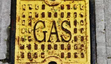 NY climate advocates celebrate rare good news after Gov. Hochul nixes gas hook-up rule