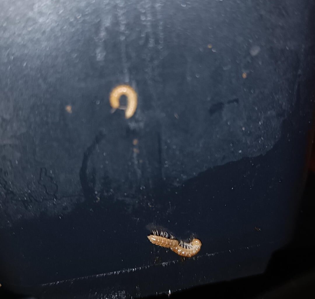 Was hab ich da gerade gefunden?