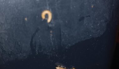 Was hab ich da gerade gefunden?