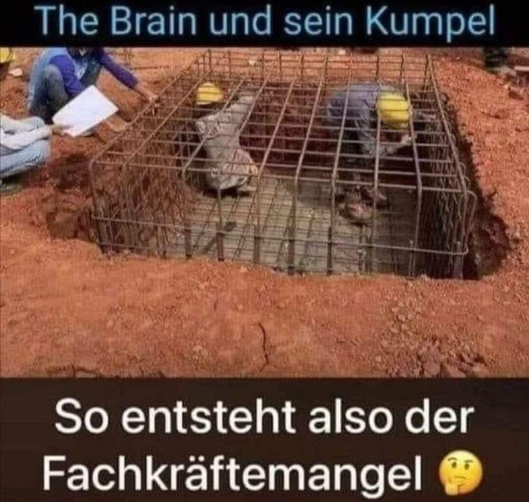 Könnte mir bitte jemand den Witz erklären?