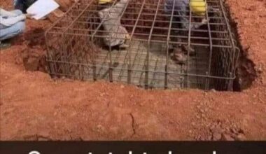 Könnte mir bitte jemand den Witz erklären?