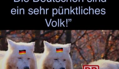 Die DB ruiniert unseren guten Ruf