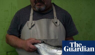 ‘Those who eat Chilean salmon cannot imagine how much human blood it carries with it’