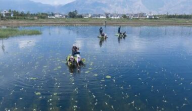 China Advances Draft Ecological Environment Code